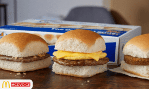 white castle survey