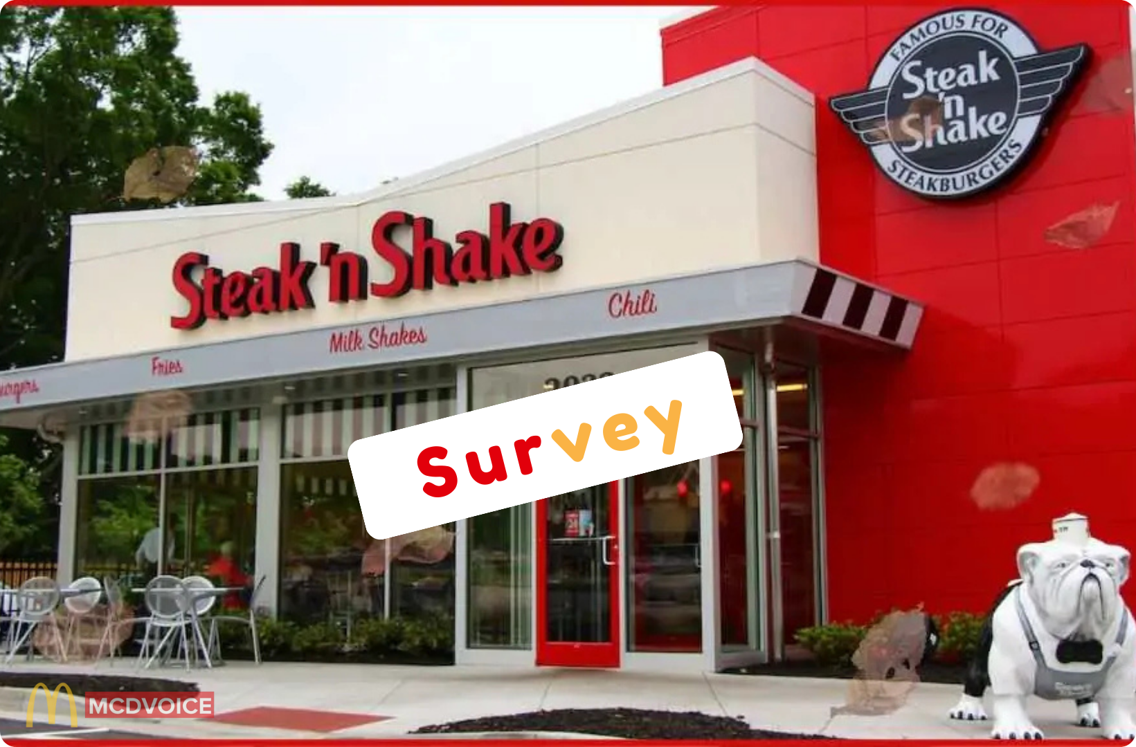 How to Take the Survey