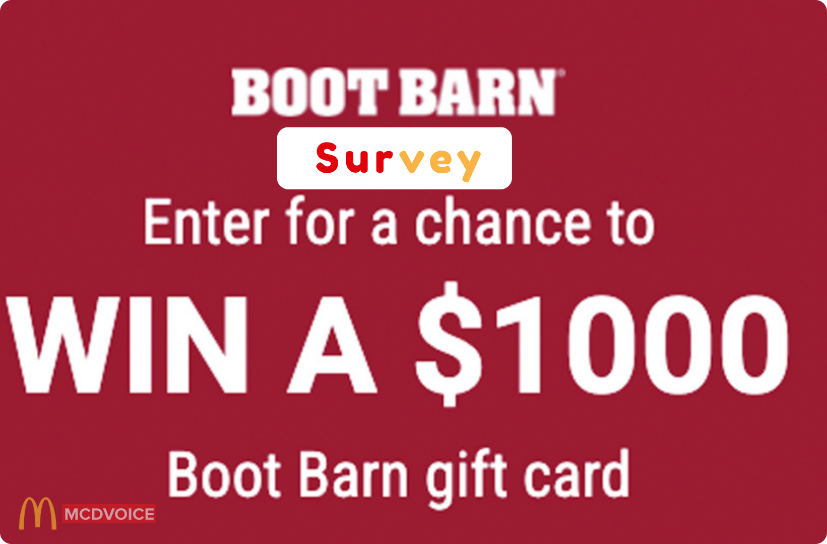 BootBarnVisit - Tips for Making the Most of the Survey