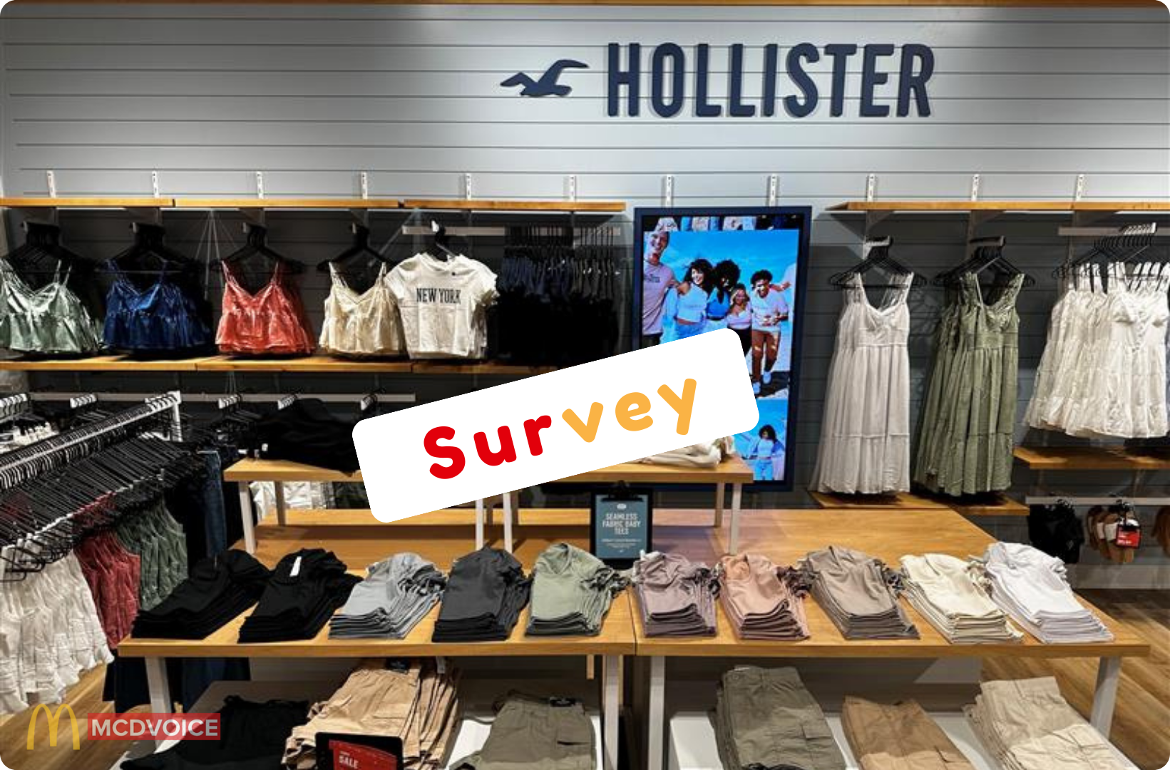Hollister Survey - How the Hollister Survey Works