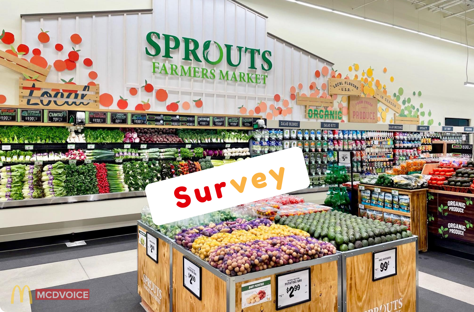 How Does the SproutsFeedback Survey Work