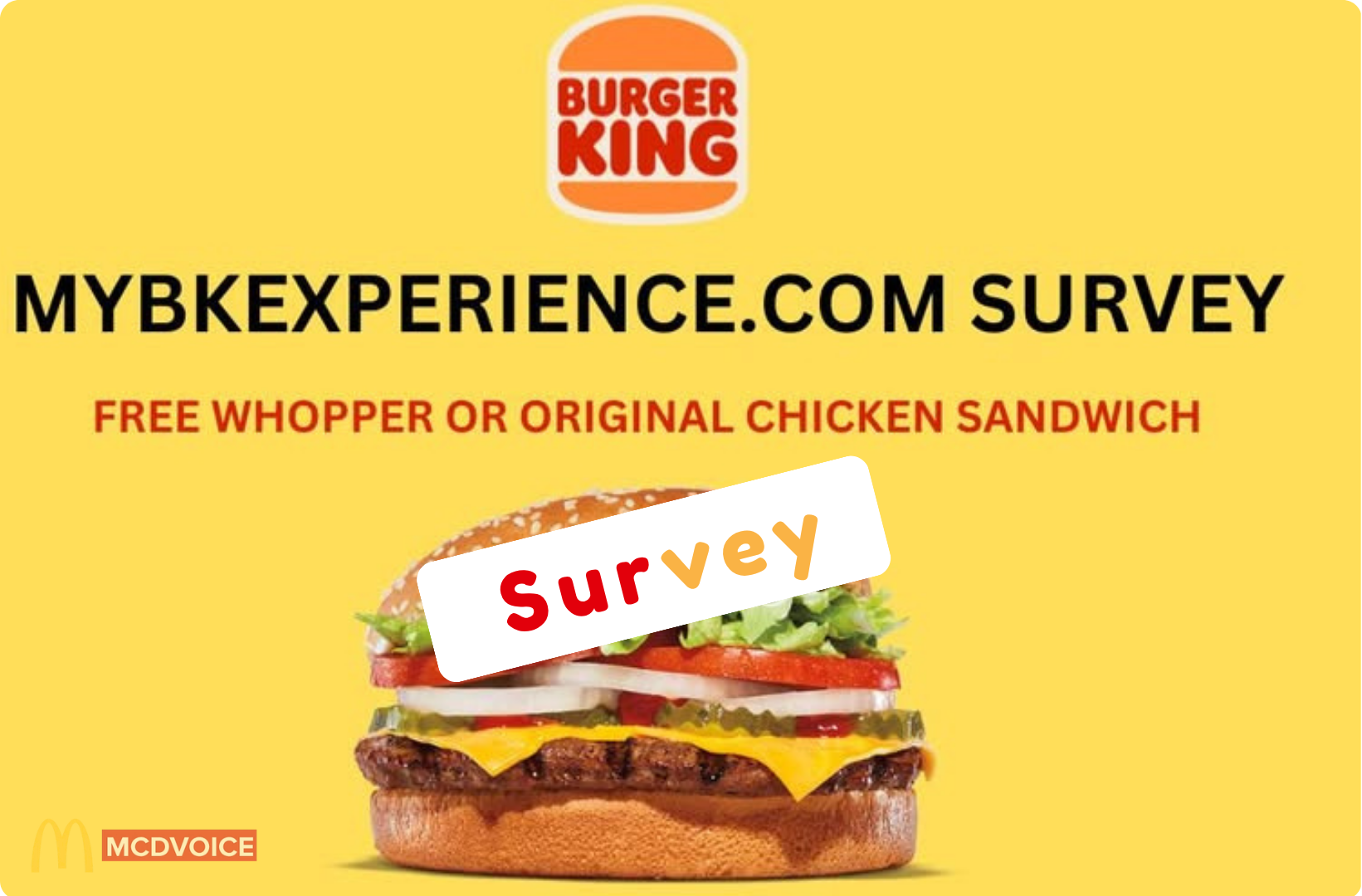 MyBKExperience - What You Need to Know About the Rewards