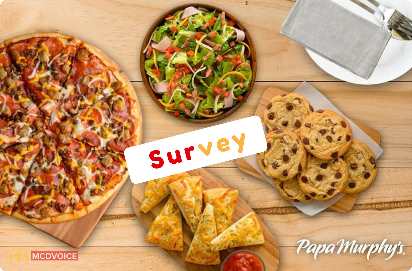 PapaSurvey &ndash; How PapaSurvey Works