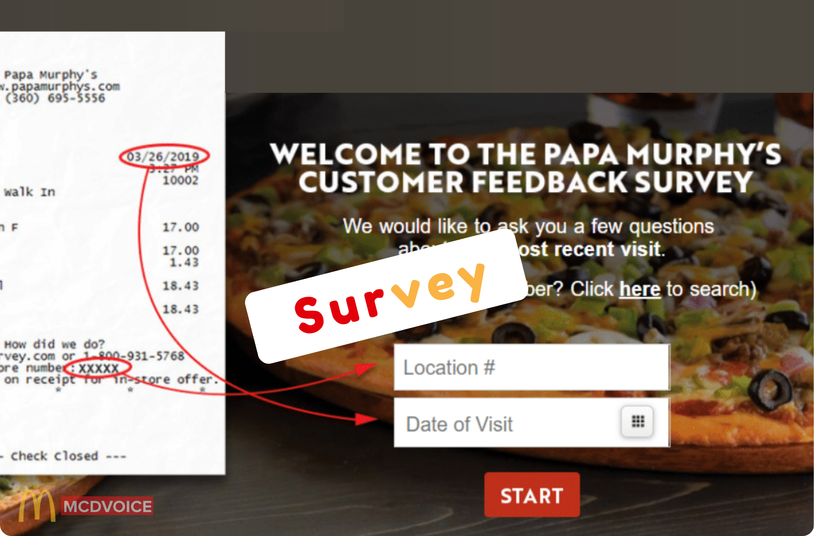 PapaSurvey &ndash; Why You Should Participate