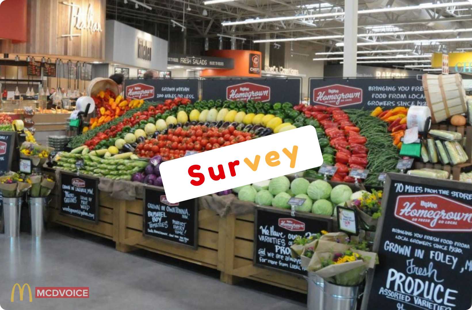 hyveesurvey - How hyveesurvey Works