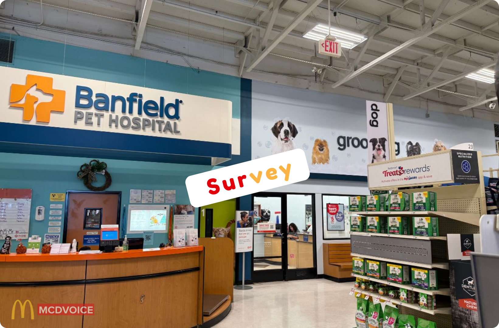 Banfield Survey - Types of Rewards You Can Win