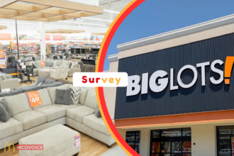 Big Lots Survey How Shoppers Earn Rewards and Gift Cards