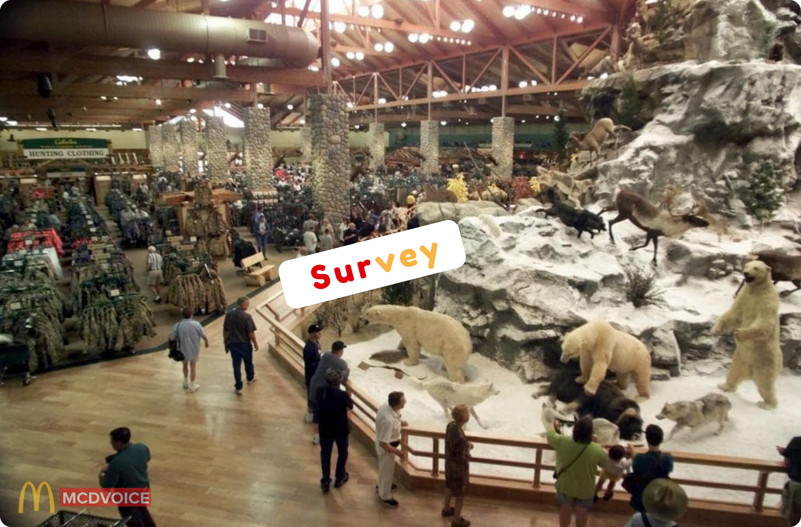 Cabela&rsquo;s Survey - Tips to Get the Most Value from the Cabela&rsquo;s Survey