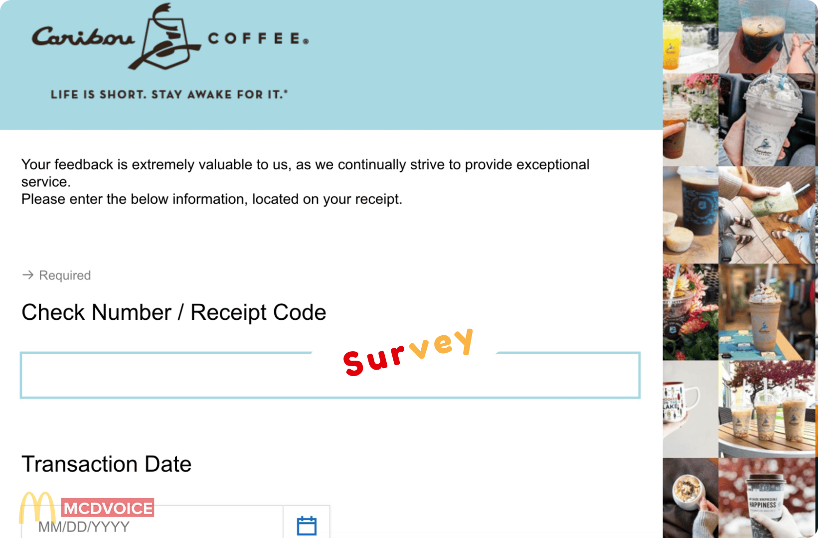 Caribou Coffee survey - How to Participate in the Survey