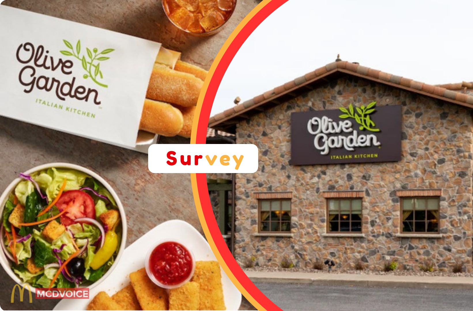 Does Olive Garden Have a Rewards Program What Customers Should Know