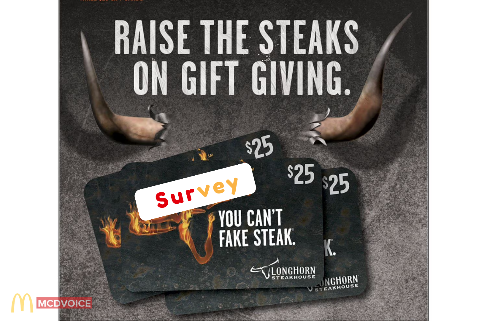 Longhornsurvey - What Rewards Can You Get from Longhornsurvey