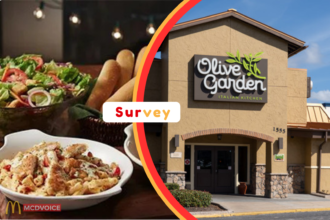 Olive Garden Survey – How Your Feedback Can Get You Free Rewards