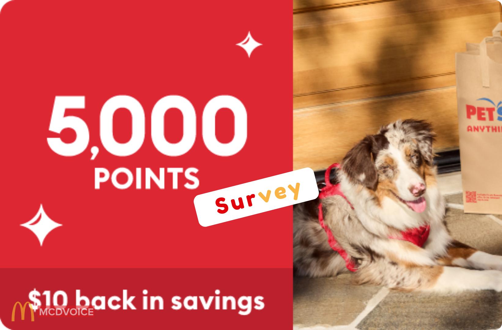 PetSmart Survey - How to Maximize Your Rewards from PetSmart Surveys
