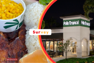 Pollolistens Survey Rewards – Share Your Feedback & Get Coupons or Free Gift Cards