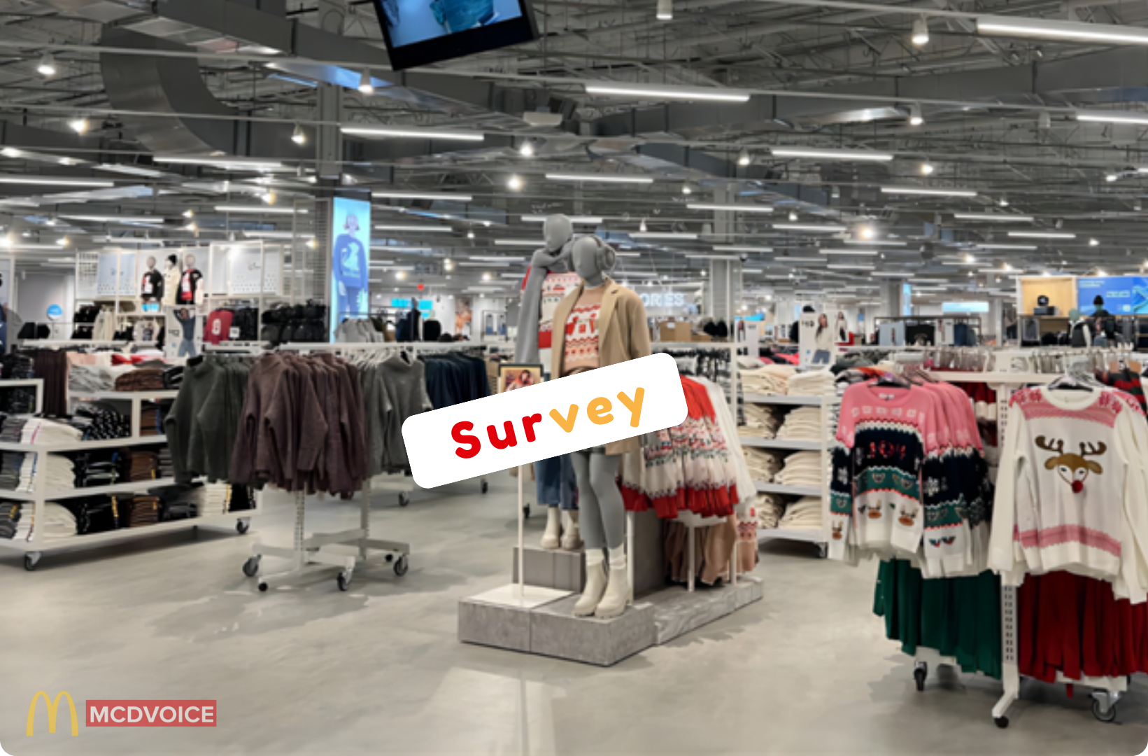 Primark Survey - Real Value Behind the Survey