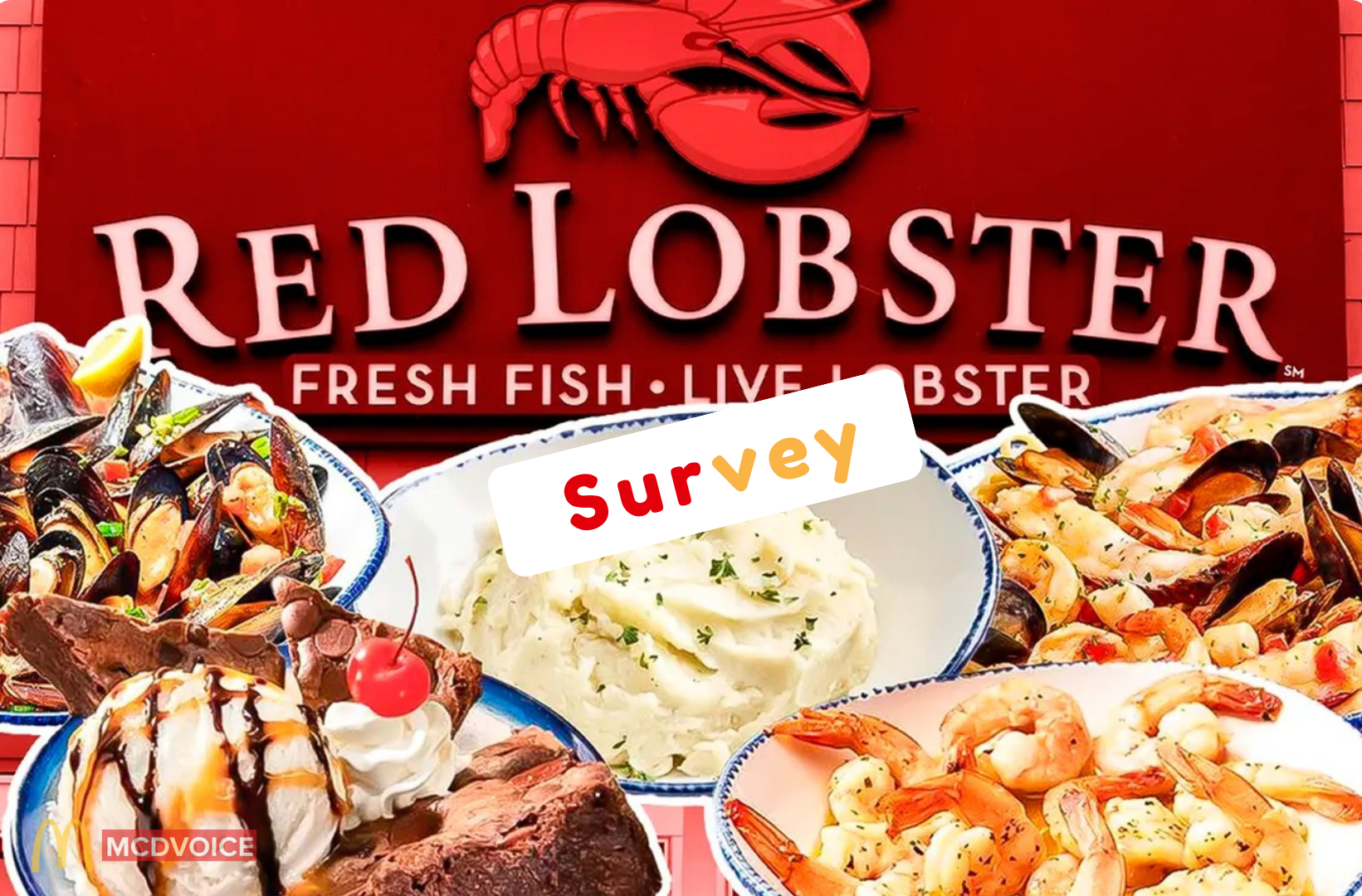 RedLobsterSurvey - How to Take the RedLobsterSurvey