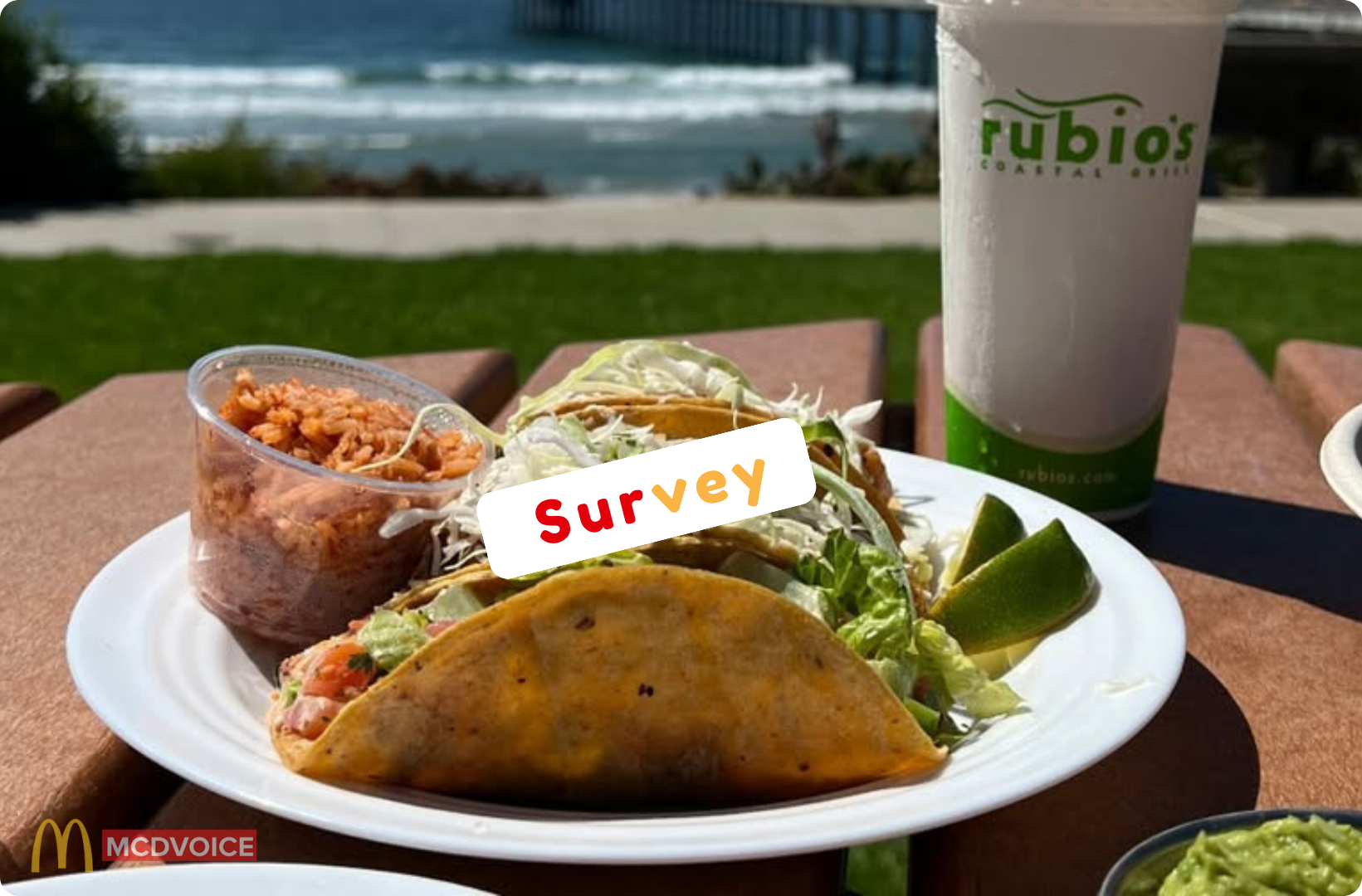 Rubio&rsquo;s Survey - Free Offers as a Thank-You