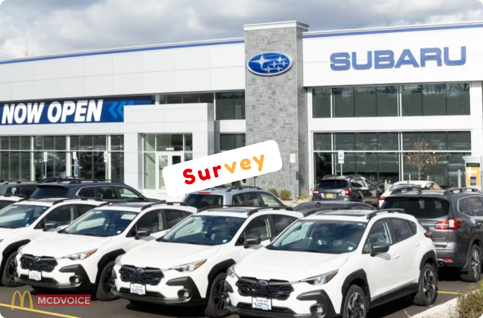Subaru Survey - How to Participate in the Subaru Survey