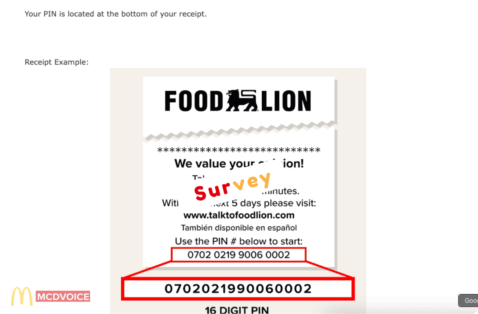 Food Lion Survey - How the Food Lion Survey Works