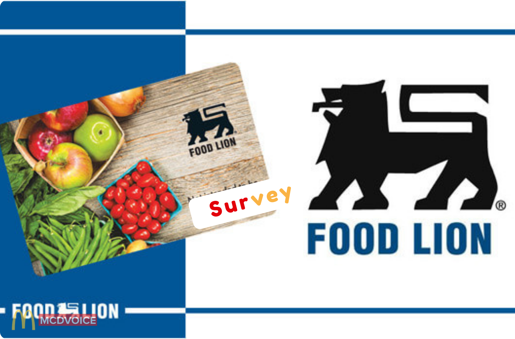 Food Lion Survey - How to Redeem Your Rewards