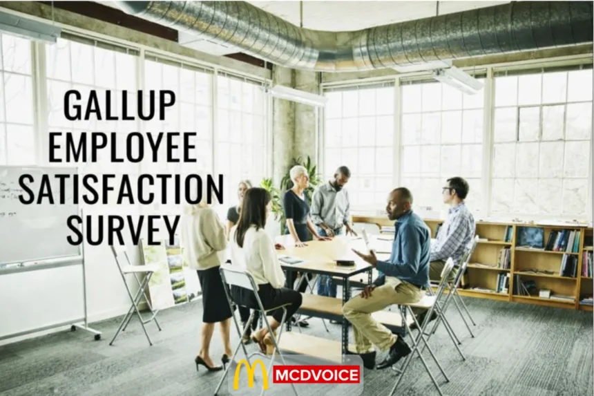 Gallup employee satisfaction survey workplace discussion