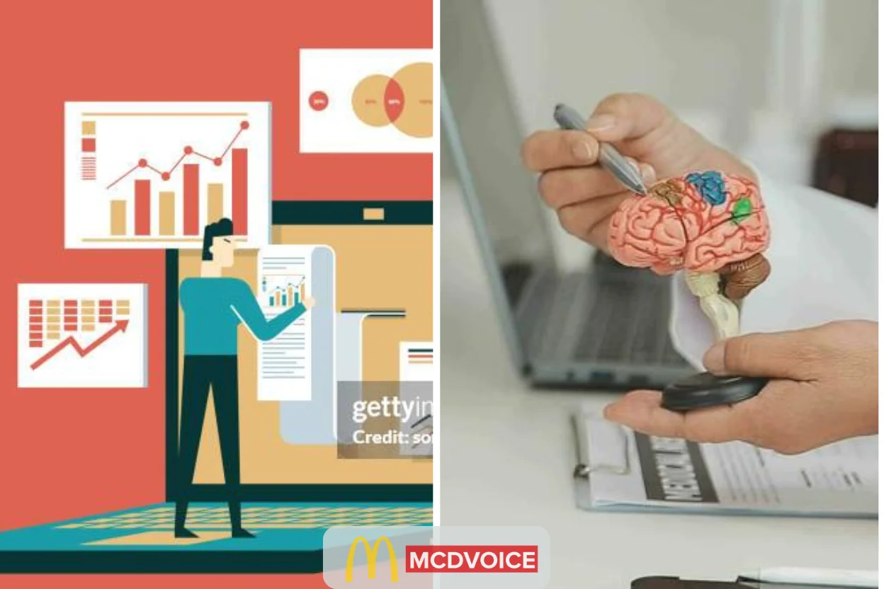 Analyzing the Findings in Research Report