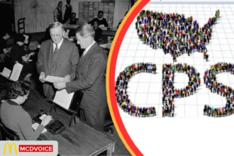 Current Population Survey Data Analysis Overview Report Summary