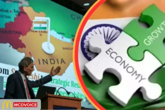 Economic Survey of India overview chart