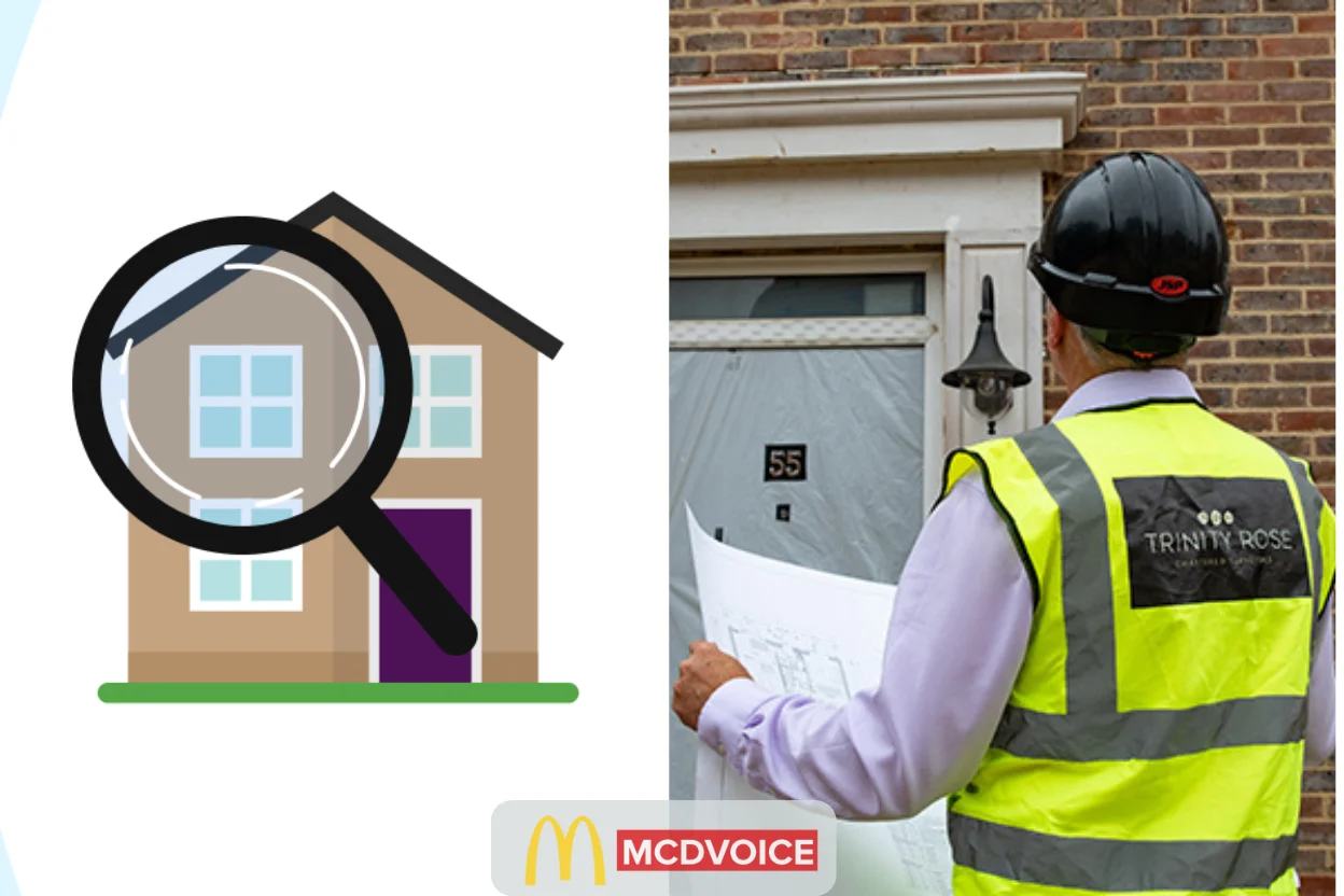 How the Survey Process Works step explanation