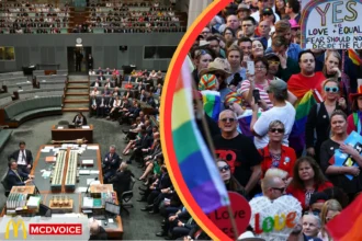 Marriage Law Postal Survey public voting process