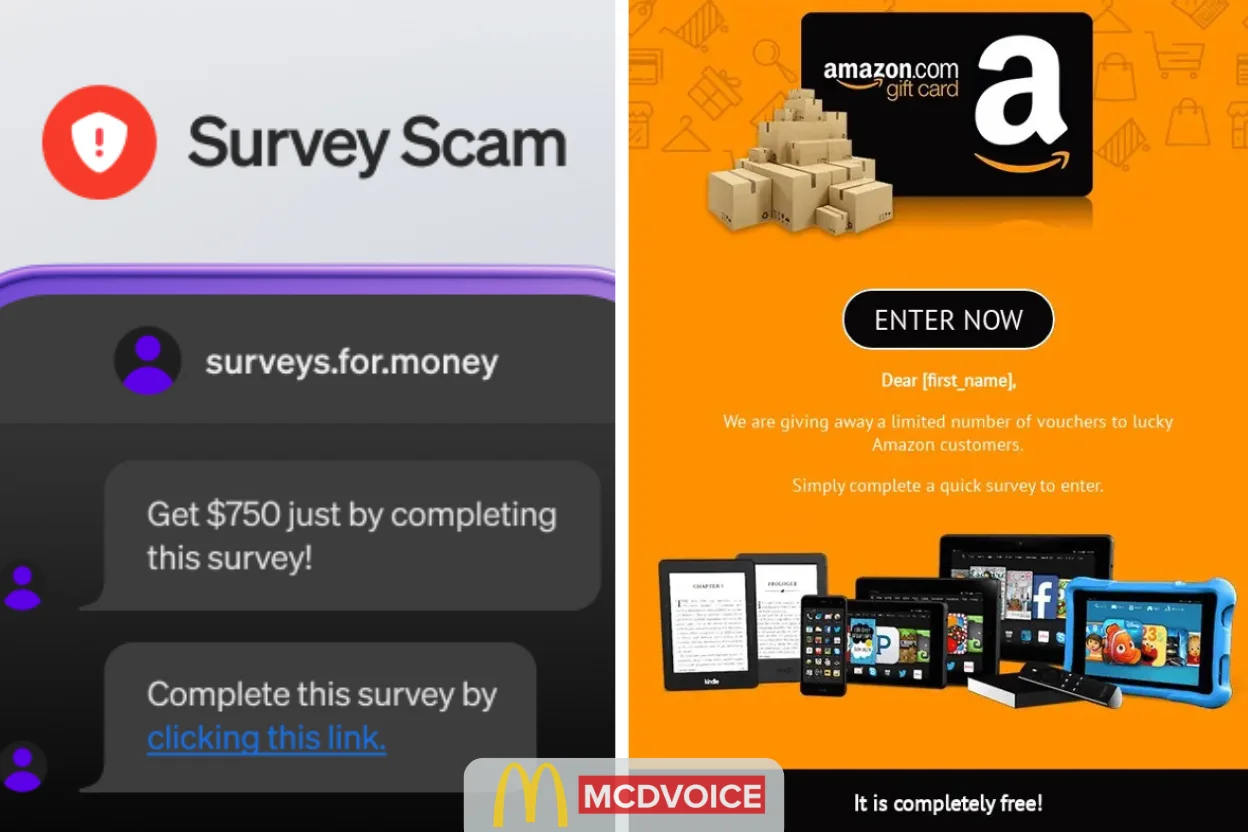 Why People Fall for Fake Surveys